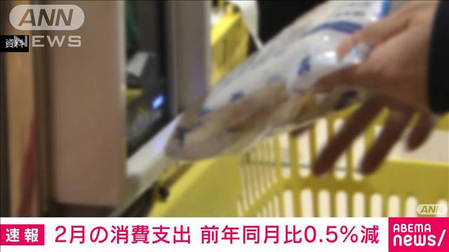 2月の家計調査　消費支出は前年同月比で実質0.5％減　減少は12カ月連続