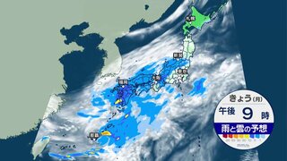 西から雨雲が広がる　関東は夜から本降り　あすにかけて強まる雨や風に注意