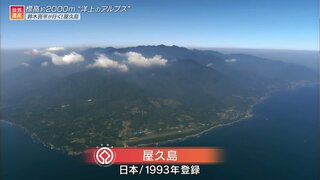 巨大な岩の島・屋久島！世界遺産の島々はどのようにできたのか？【世界遺産／屋久島（鹿児島県）】