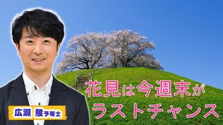 花見は今週末がラストチャンスも「季節外れの暑さ」に注意！　“のんびり開花”の原因は３月の気温か…平均気温がほぼ２月並み【MBSお天気通信】