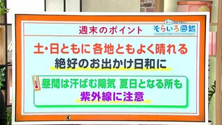 高知の天気　土日は晴れてお出かけ日和に　屋外では花粉や紫外線に注意　東杜和気象予報士が解説