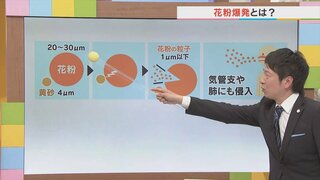 「花粉爆発」に注意　黄砂でヒノキ花粉が気管支や肺に侵入し症状悪化も　気象予報士が解説