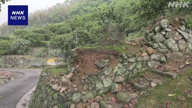 愛媛 宇和島 特産のみかん畑でも石垣崩れる被害 震度5強観測