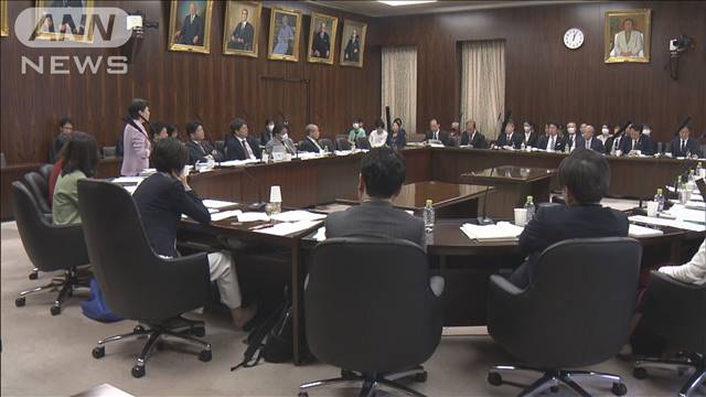 「共同親権」参院で実質審議始まる「離婚条件で共同親権を押し付けられたら…？」