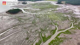 「世界一！？危険な料理」と韓国の赤い絶景…潮が引くと現れる不思議な色の干潟と本場のタコおどり食い【世界遺産／ゲッボル：韓国の干潟（韓国）】