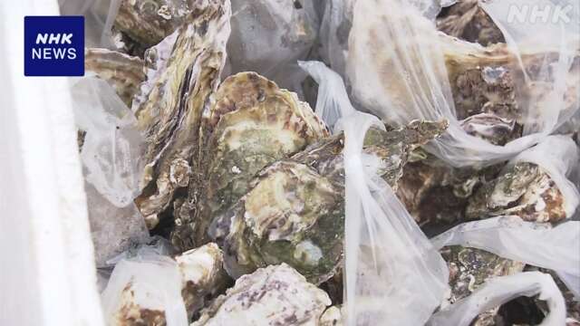 地震で被災「能登かき」養殖業者 富山 高岡の朝市に出店