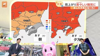 【5月14日 関東の天気】雨上がり 清々しい陽気に