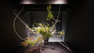 550余年の歴史を伝える華道・池坊の「華の軌跡」展 : 家元3世代の作品一堂に