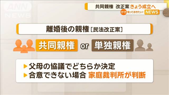 共同親権改正案　きょう成立へ