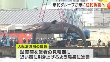 クジラ「淀ちゃん」処理費の増額めぐり…当初3800万円→約8000万円に…市民グループが住民訴訟へ