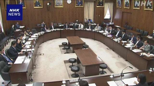 子ども・子育て支援法などの改正案 参院内閣委で参考人質疑