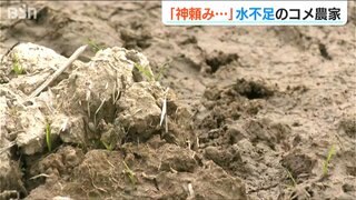 「神頼みしか…」今年は田植え前から水不足　農家の切実な声に「早めに手を打っていきたい」と1200万円の支援策　新潟県長岡市