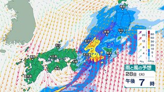 【大雨情報】岐阜・静岡・愛知では28日夜にかけて「線状降水帯」発生の恐れ　雨の範囲は次第に東へ　今後の雨と風の予想は？ 29日正午までのシミュレーション