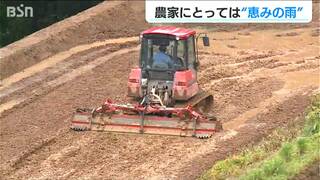 代かきもままならなかったコメ農家にようやく恵みの雨「稲刈りは少し遅れるけど美味しいコシヒカリを作っていきたい」新潟県上越市