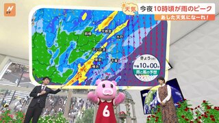 【台風1号が北上】28日22時ごろが雨のピーク 1時間に30ミリ超か…滝のような雨、強風に警戒　箱根や日光で特に雨量多くなるおそれ【5月29日 関東の天気】