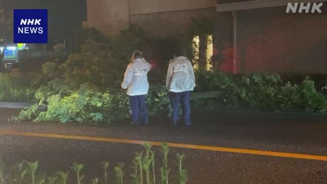 関東各地で雨風強まりけが人や倒木などの被害