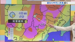 あす4日も天気急変のおそれ　雷雨や雹に注意　６日以降は雲が多く蒸し暑い日々　気象予報士が解説