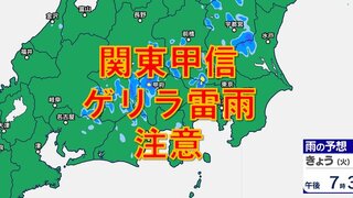 関東甲信　これからゲリラ雷雨に注意　雨シミュレーションきょう夕方～夜【大雨情報2024】