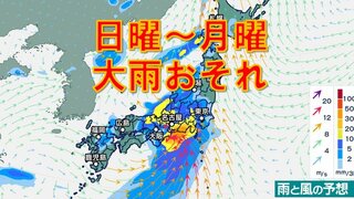 関東、近畿、東海など大雨おそれ　日曜に梅雨前線上の低気圧が東へ　雨シミュレーション9日（日）～10日（月）