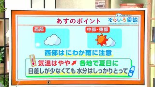 高知の天気　7日は中部・東部でおおむね晴れるも西部はくもり優勢に　昼間は各地で夏日となる見込み　東杜和気象予報士が解説