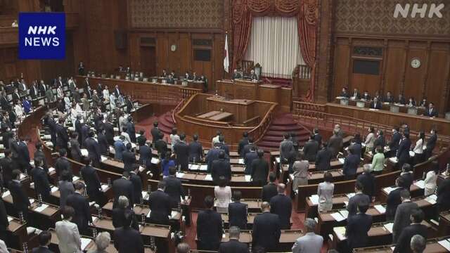 銃の規制や罰則強化 改正銃刀法が成立