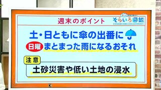 高知の天気　土日ともに傘の出番に　日曜はまとまった雨となるおそれも　東杜和気象予報士が解説