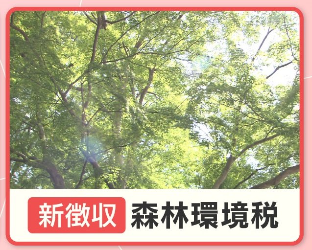 6月から『森林環境税』徴収 二重負担も＆『定額減税』に企業「複雑で地獄」