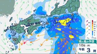 関東、近畿、東海、四国など雨…日曜から月曜　低気圧が東へ進む　雨シミュレーション9日（日）～10日（月）