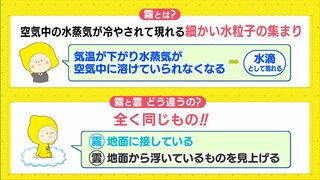 【天気メモ】霧って何？　雲との違いは、、？