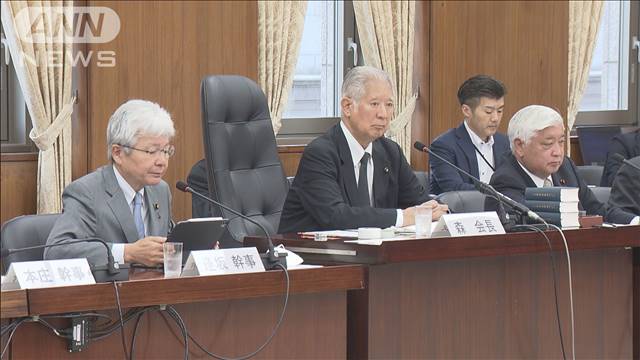 自民　緊急時に議員の任期延長で論点整理提示