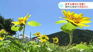 「暑い！夏ですね」高知県内６地点で真夏日に　１４日も暑さ対策を！