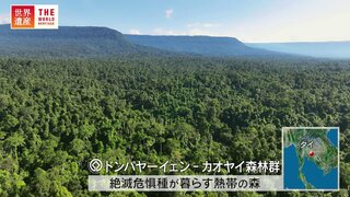 滝に落ちた子ゾウを救おうとしてゾウが次々と落下･･･悲劇ののち世界遺産になったタイの森【世界遺産／ドンパヤーイェン－カオヤイ森林群（タイ）】