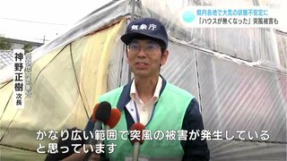 「バリバリと屋根がはがれた」ビニールハウスはぐにゃりと曲がり…高知の突風被害は「竜巻の可能性高い」気象台が判断