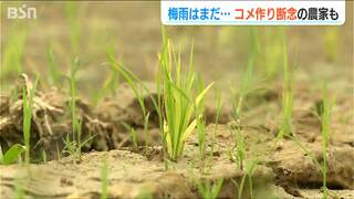 梅雨はまだか…「イネを植えた直後は水が一番大事」田植え諦める農家も　新潟県上越市