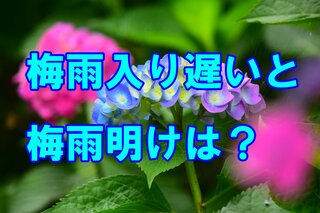 梅雨入り遅いと梅雨明けも遅れる？過去には「梅雨明け特定できず」の年も　では今年は…？　tbc気象台