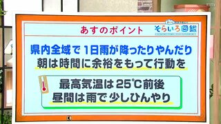 高知の天気　２６日は終日雨が降ったり止んだり　傘の手放せない１日に　東杜和気象予報士が解説