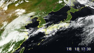 【大雨情報】西日本と東日本は2日にかけて　梅雨前線が停滞　土砂災害に厳重警戒　浸水・河川の増水や氾濫に警戒　雷を伴って非常に激しい雨の所も　この先の雨の降り方は【雨・風シミュレーション】