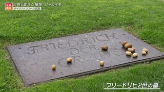 フリードリヒ大王の墓にジャガイモ！なぜこんなところにこんなものが･･･世界遺産で見つけた不思議なもの【世界遺産／サンスーシ宮殿（ドイツ）、高野山（日本）、北京の故宮（中国）】