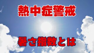 熱中症警戒アラートを出す「暑さ指数」って何？カギは“湿度”