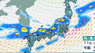 東北・北陸で大雨、関東きょう昼過ぎから激しい雨に注意…今週は梅雨前線の南下で西日本も雨に…雨雲の動き予測8日（月）～13日（土）雨シミュレーション