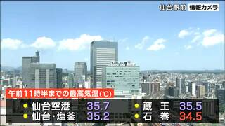 仙台・塩釜で今年初めて35度以上の「猛暑日」に　宮城