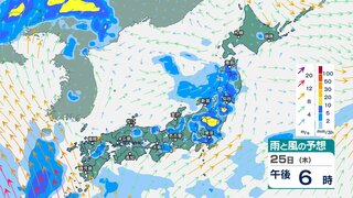 東北や北陸では25日夕方までに120ミリの予想降水量　雷を伴って非常に激しい雨が降り“警報級大雨”となる恐れも【今後の雨と風のシミュレーション】