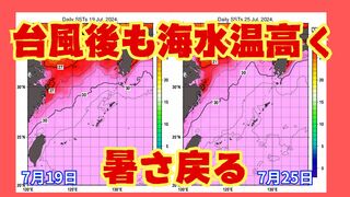 台風通過後も海は“温かいまま”　来週「35℃以上」の暑さ戻る…熱中症に厳重警戒！