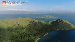 世界最大のオオトカゲ「コモドドラゴン」の住む島！ドラゴンが登場する世界遺産いろいろ【世界遺産／コモド国立公園（インドネシア）】