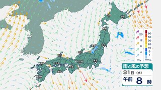 雷伴い非常に激しい雨“大雨警報”や“土砂災害警戒情報”発表のエリアも　東北や北陸では土砂災害などに警戒【今後の雨風シミュレーション】