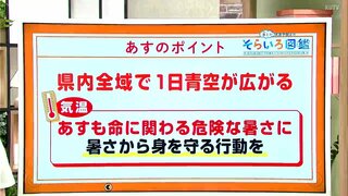 高知の天気　８月１日も全域でよく晴れる　各地で体温よりも高い気温に　東杜和気象予報士が解説