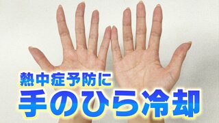 ４０℃超が続出…8月は猛暑の“ヤマ場”となるところも… 熱中症対策に効果的な「手のひら冷却」とは？専門家に聞いた【MBSお天気通信】