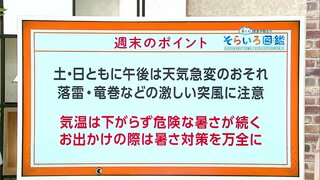 高知の天気　週末も危険な暑さが続く　午後は急な雷雨に注意　東杜和気象予報士が解説