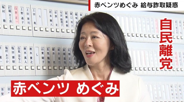 度重なる炎上でついに離党…「赤ベンツ不倫」に続いて給与詐取疑惑の広瀬めぐみ氏とはどのような人物なのか