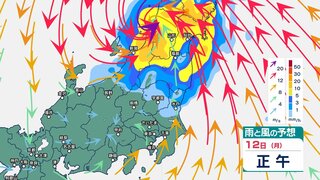 関東甲信では9日夜遅くにかけて“滝のような”雷雨の恐れ　その後は台風5号接近で12日ごろにかけて雨が強まるか【12日午後9時まで・1時間ごとの雨と風のシミュレーション】